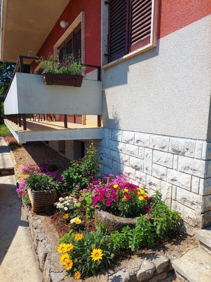 Rubin Apartment Ика Екстериор снимка